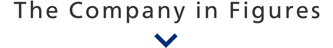 公司数字