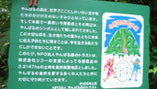 图片：签名信托森林