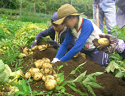 关东一村自然学校