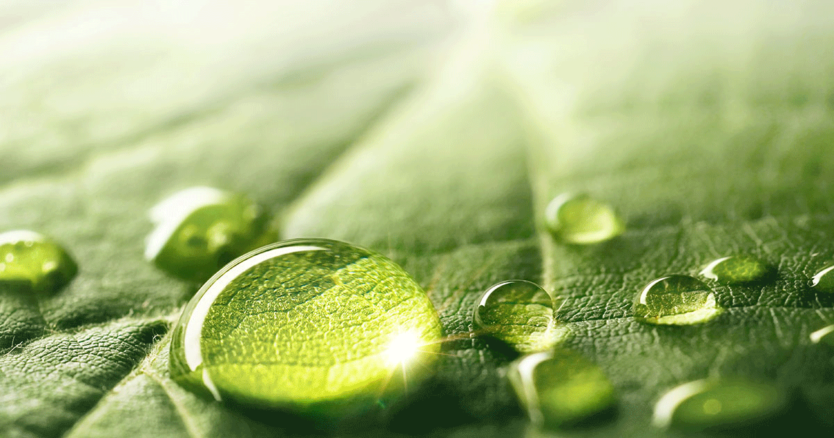 三井住友と「・インパクト・」融资融资契约を缔结